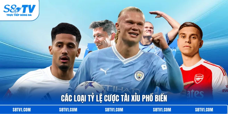 Các loại tỷ lệ cược tài xỉu phổ biến