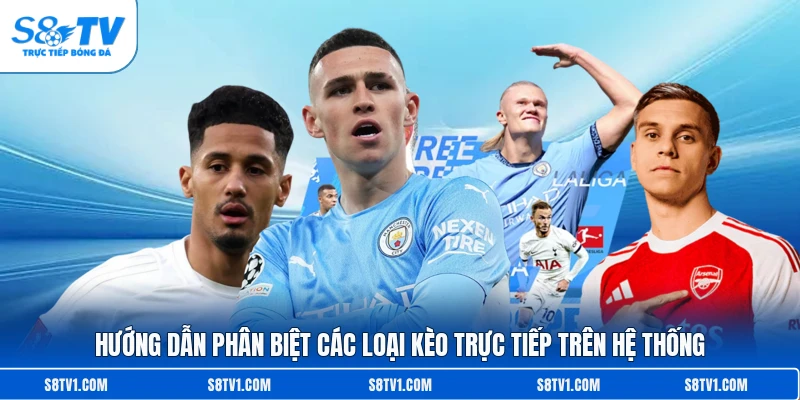 Hướng dẫn phân biệt các loại kèo trực tiếp trên hệ thống